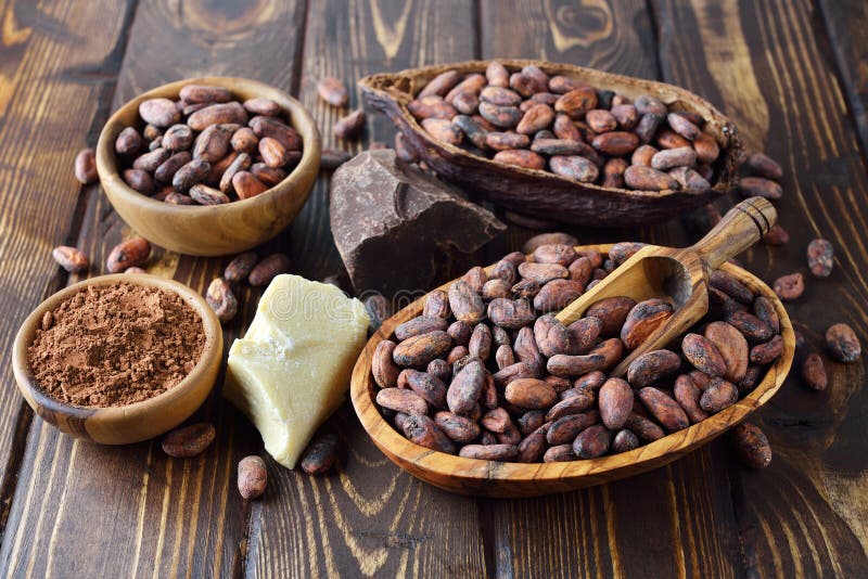 Natural cocoa mass stock photo. Image of white, product 164336232