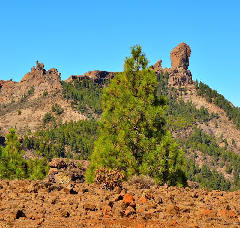 Natural Park Roque Nublo with Blue Sky Background, Gran Canaria, Canary ...