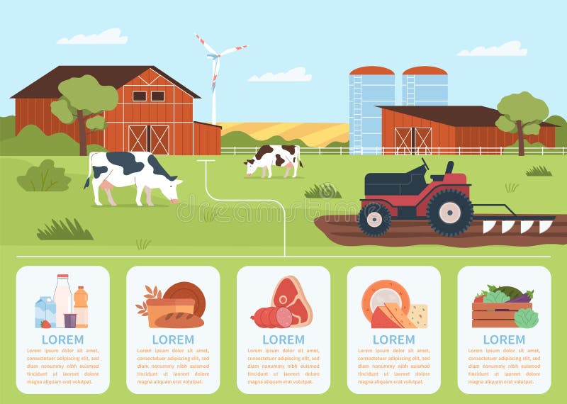 Natural Production Infographic. Farm Manufacturing Poster, Agricultural ...