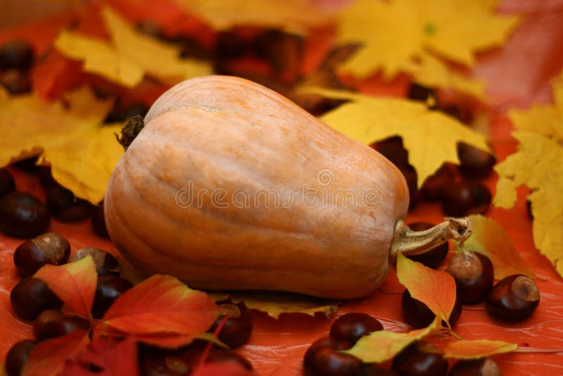 Natural pumpkin