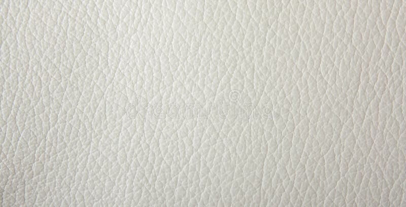 415,559 White Leather Stock Photos - Free & Royalty-Free Stock Photos from  Dreamstime