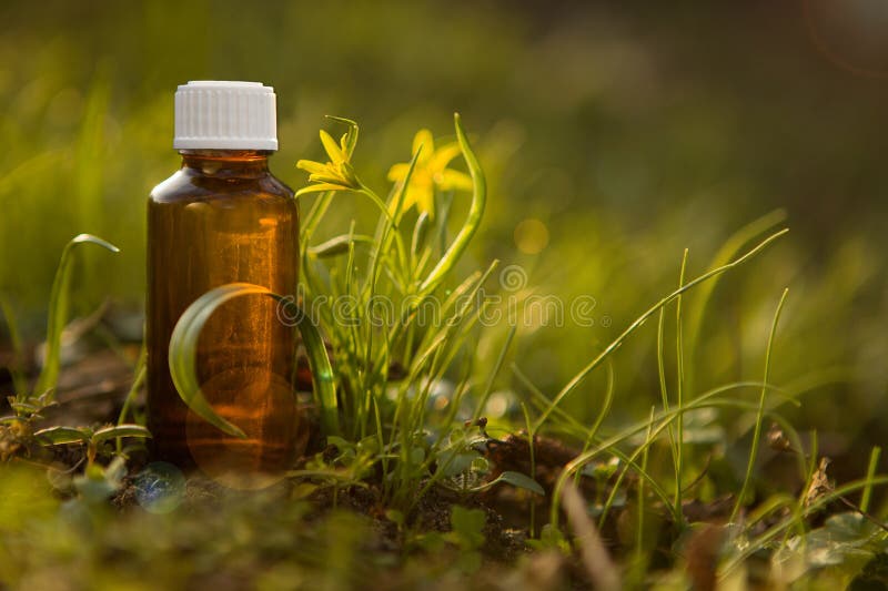 Natural remedies, aromatherapy - bach therapy stock photo Natural remedies, aromatherapy - bach therapy stock photo