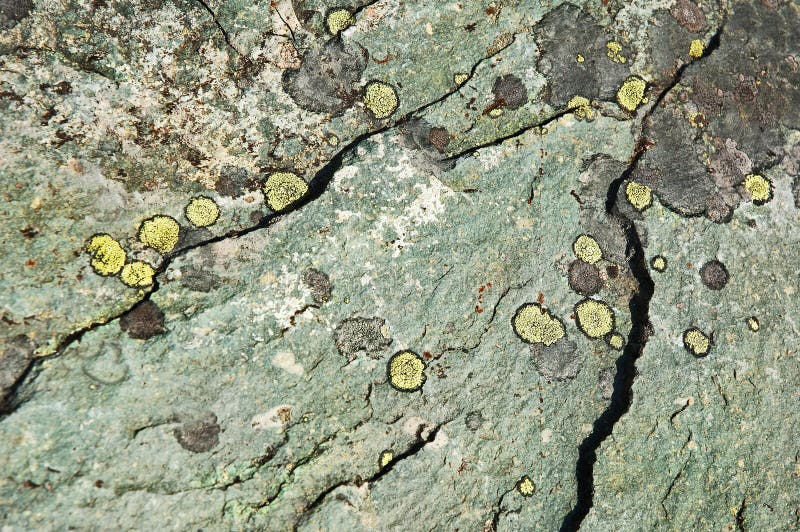 Natural rock with cracks and moss stock images