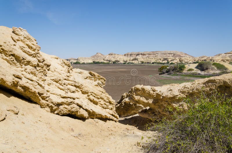 Natural rock formations and sparse vegetation at Lake Arco in Angola`s Namib Desert