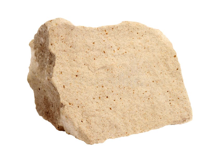Natural sample of foraminiferal ooze limestone - organogenic sedimentary rock, on white background