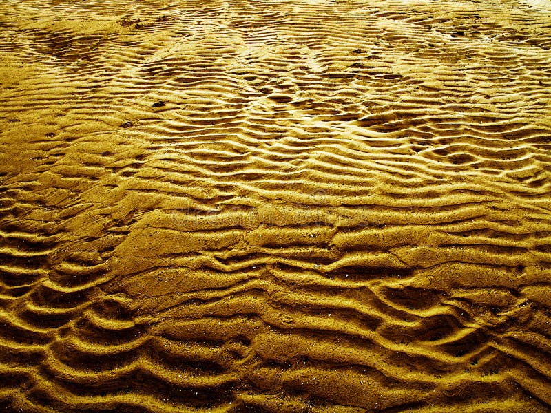 Sand ripples and textures on a beach. Sand ripples and textures on a beach