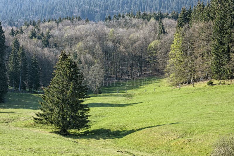 Natural scenery, Polana mountains, Slovakia