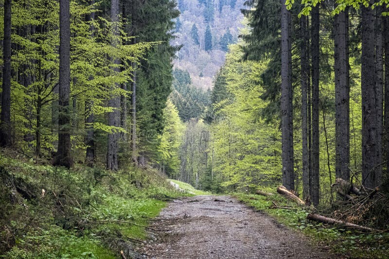 Natural scenery, Polana mountains, Slovakia