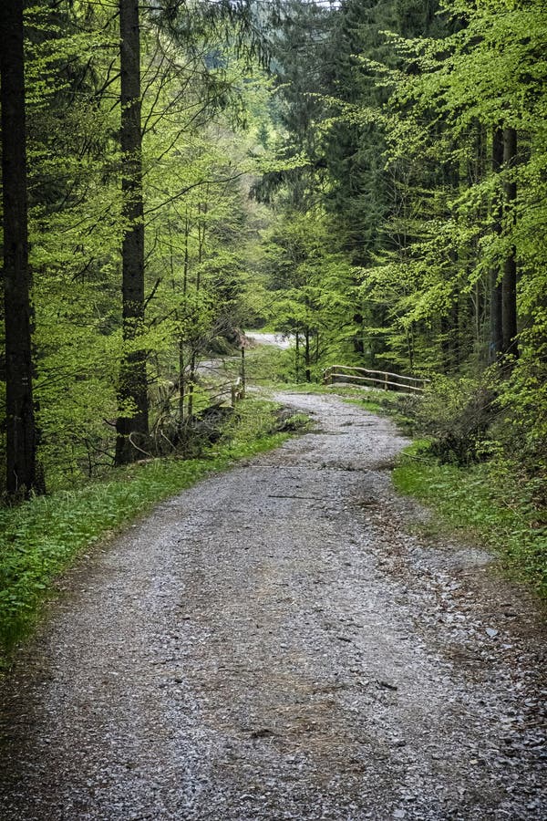 Natural scenery, Polana mountains, Slovakia