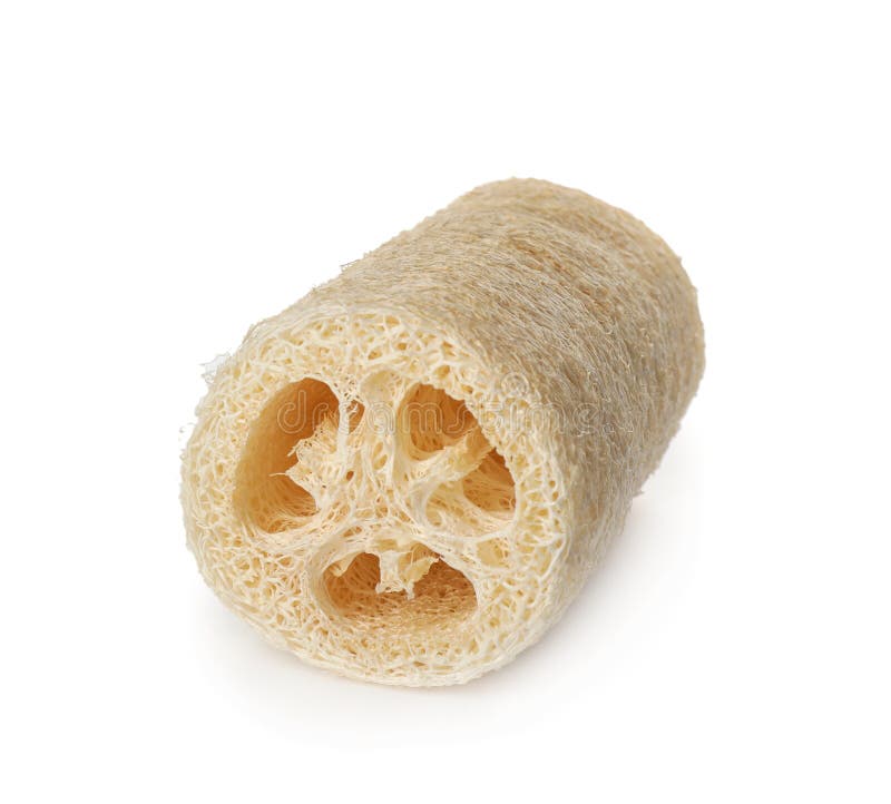 Natural Shower Loofah Sponge Isolated on White Stock Photo Image of