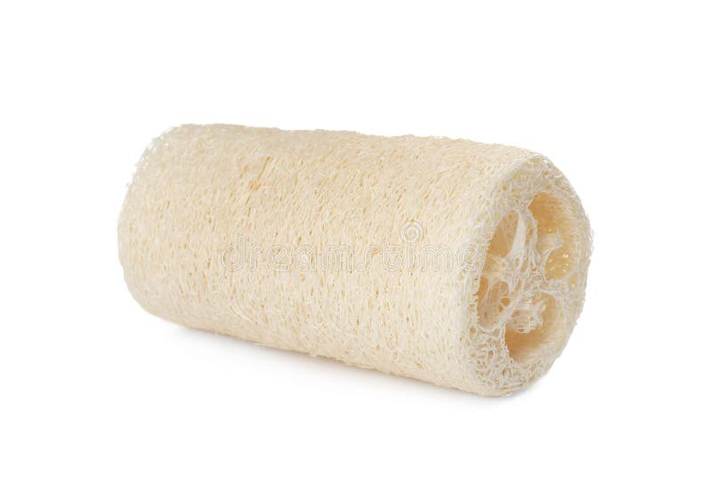 Natural Shower Loofah Sponge Isolated on White Stock Photo Image of