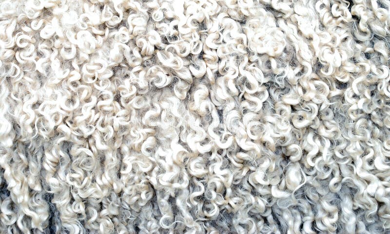 Natural Soft Wool Texture Background