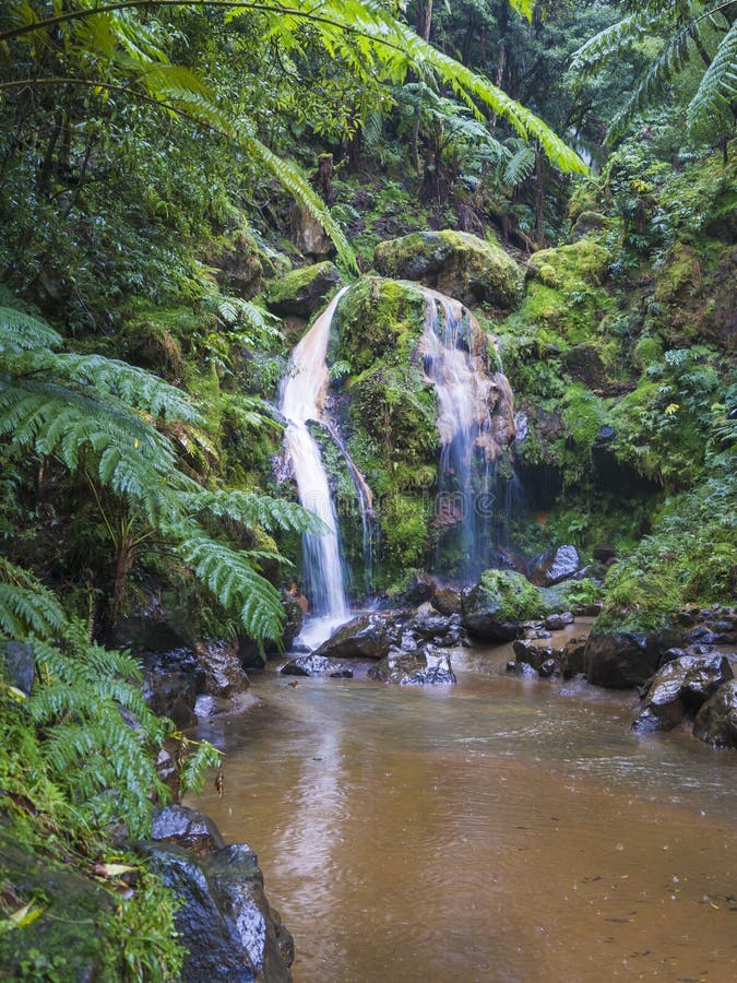 Natural spa with waterfall and hot thermal pool in caldeira velha, San Miguel, Azores islands stock image Natural spa with waterfall and hot thermal pool in caldeira velha, San Miguel, Azores islands stock image