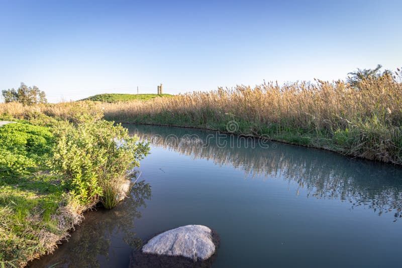 A natural and spectacular stream, wide-angle with reflection of aquatic plants