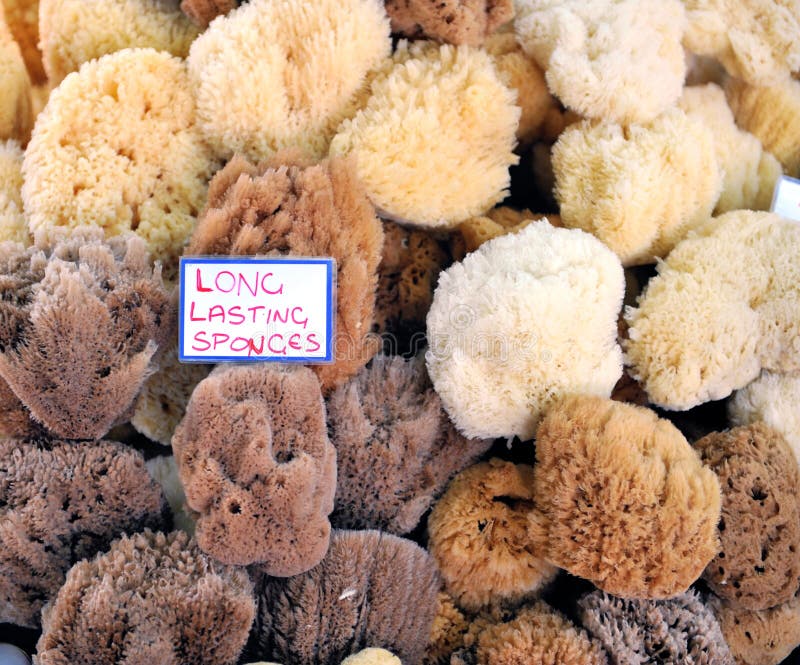 Natural Sea Sponges stock photo. Image of attractions 41929622