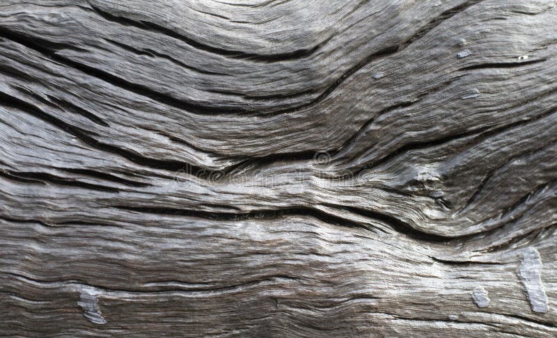 Natural texture old wood texture background image image royalty free stock photo