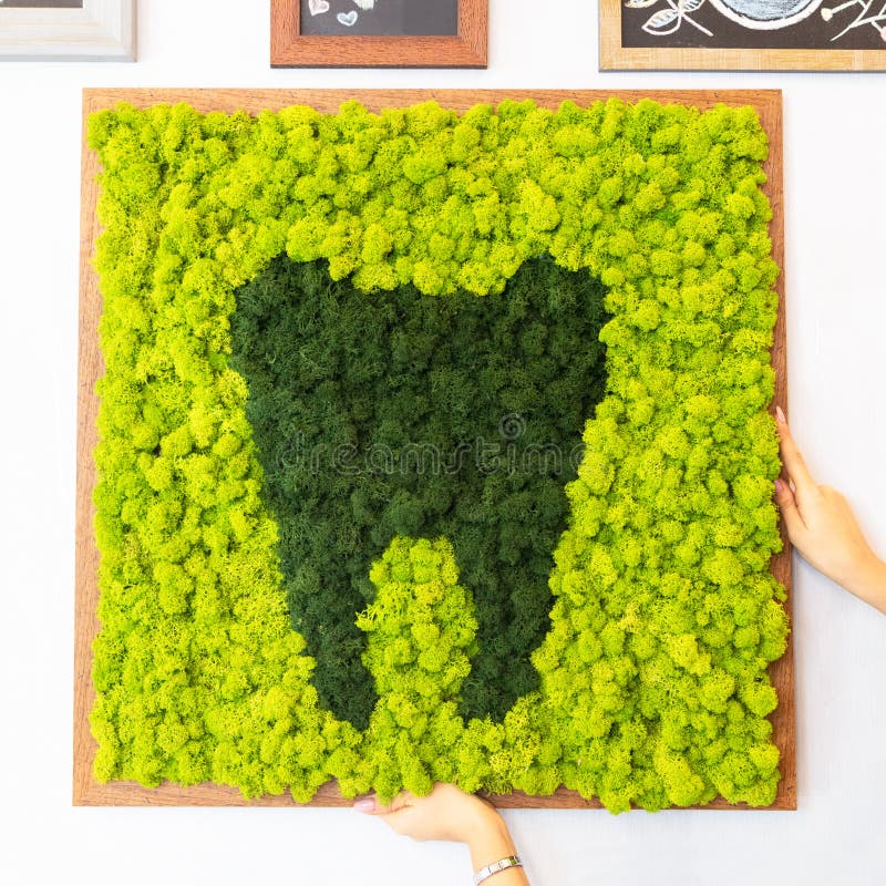 Green Tooth Moss Decor: Buy Moss Wall Art