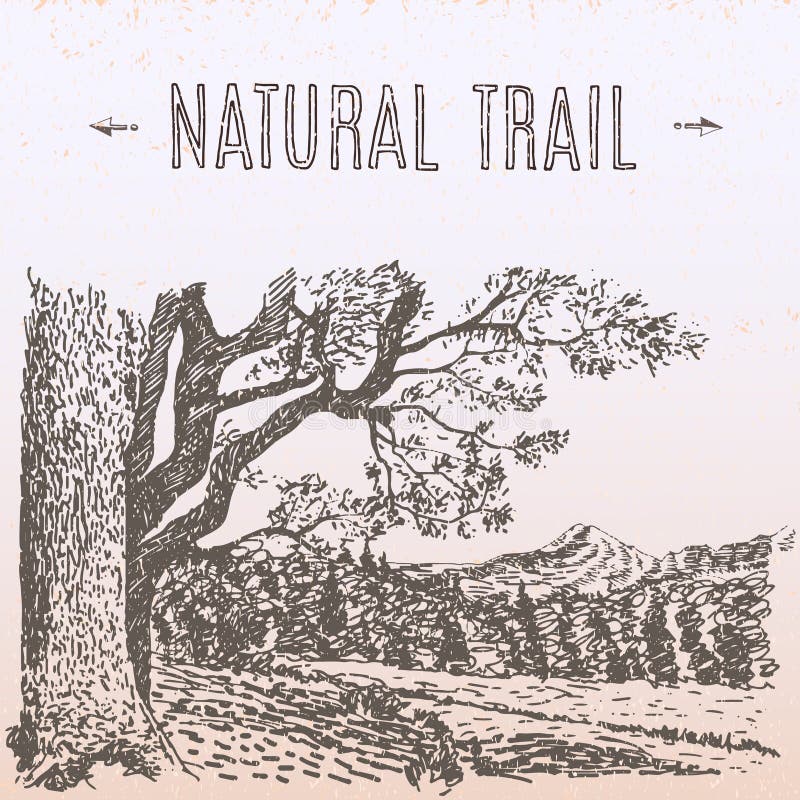 Natural trail illustration