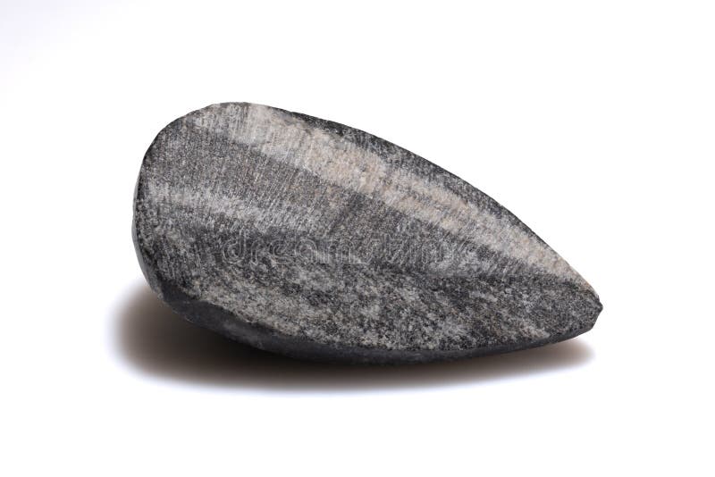 Natural Trilobite Fossil Stone Specimen with Distinctive Pattern and Texture on White Background stock photos