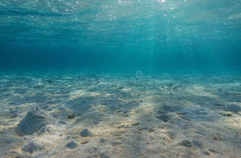 Underwater Sand Mediterranean Sea Natural Scene Stock Photo