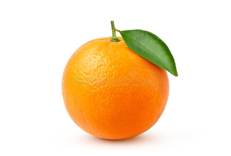 Natural Valecia orange fruit with green leaf