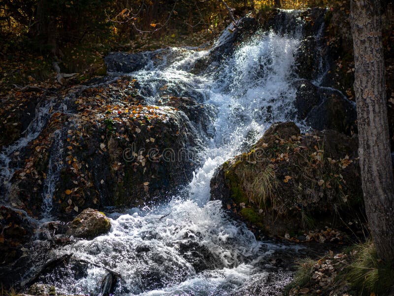 Natural View of a Small Waterfall at Big Spring Hills Park West Airdrie in Alberta, Canada Stock
