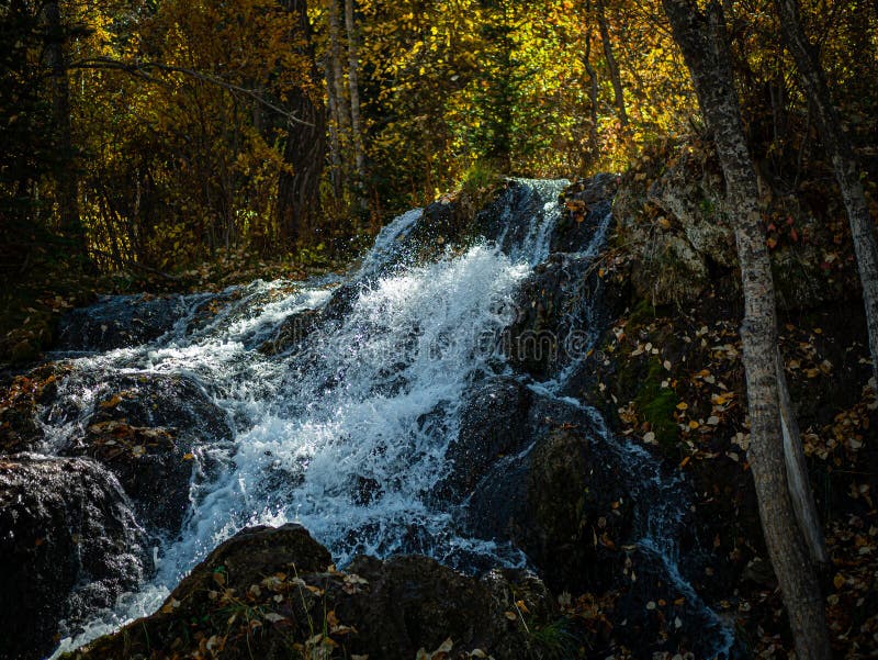 Natural View of a Small Waterfall at Big Spring Hills Park West Airdrie in Alberta, Canada Stock