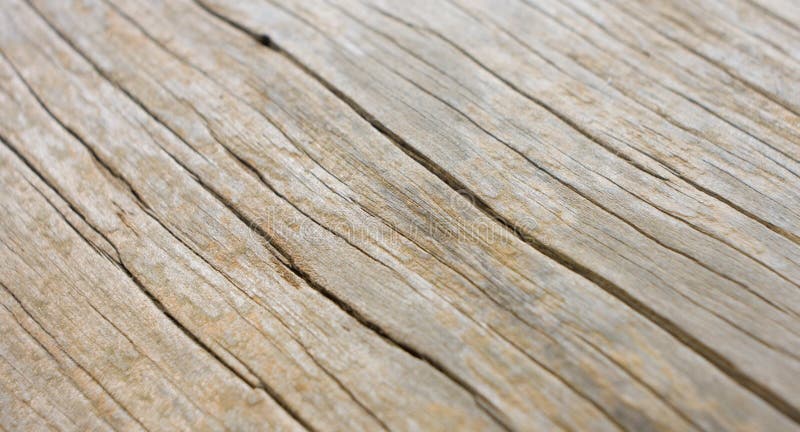 Natural vintage wood structure macro stock photography