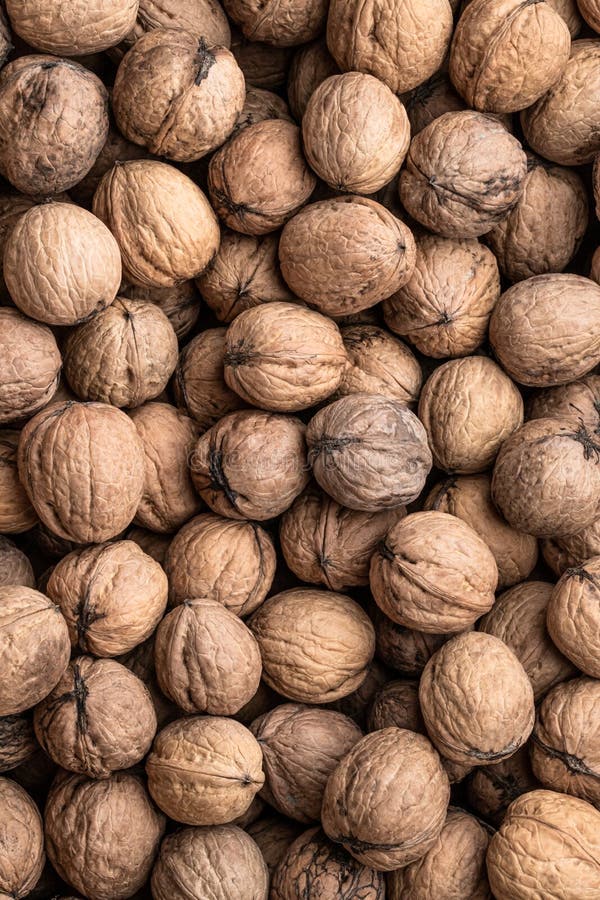 Natural walnut background pattern texture stock photos