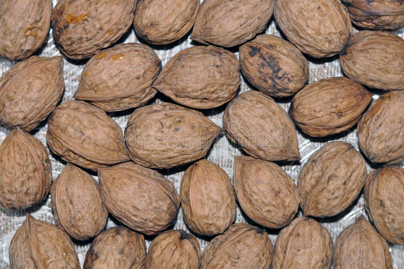 Natural walnut background pattern texture Abstract walnuts heap pattern background Blurred edges frame stock photo Natural walnut background pattern texture Abstract walnuts heap pattern background Blurred edges frame stock photo