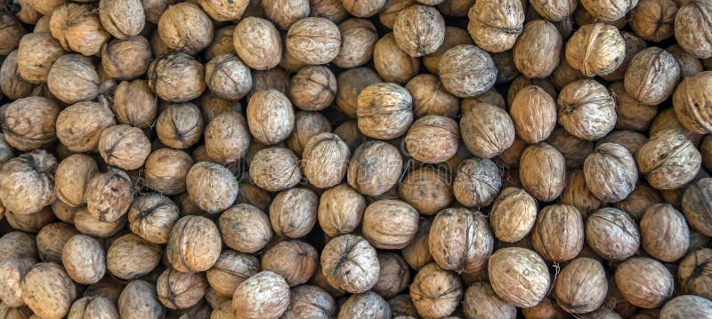 Natural walnut background pattern texture Abstract walnuts heap pattern background Blurred edges frame Natural food in-shell nuts royalty free stock images Natural walnut background pattern texture Abstract walnuts heap pattern background Blurred edges frame Natural food in-shell nuts royalty free stock images