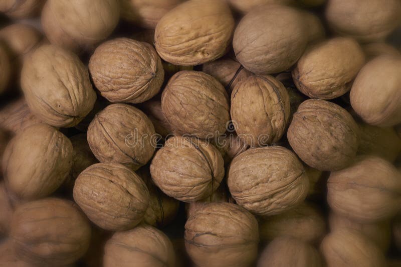 Natural walnut background pattern texture. Abstract walnuts heap pattern background. Blurred edges frame. Natural in-shell nuts royalty free stock photo