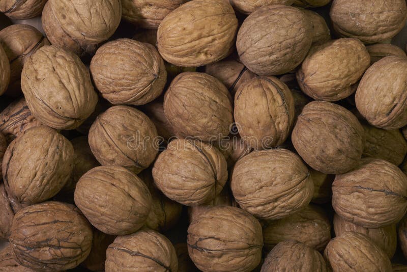 Natural walnut background pattern texture Abstract walnuts heap pattern background. Blurred edges frame Natural food in-shell nuts royalty free stock photos