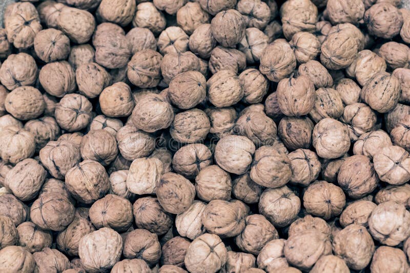 Natural walnut background pattern texture walnuts heap pattern background. Gray texture and background. royalty free stock images Natural walnut background pattern texture walnuts heap pattern background. Gray texture and background. royalty free stock images