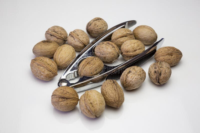 Natural walnut photo stock photo