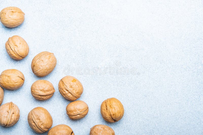 Natural Walnut in Shell on the Light Background stock photography