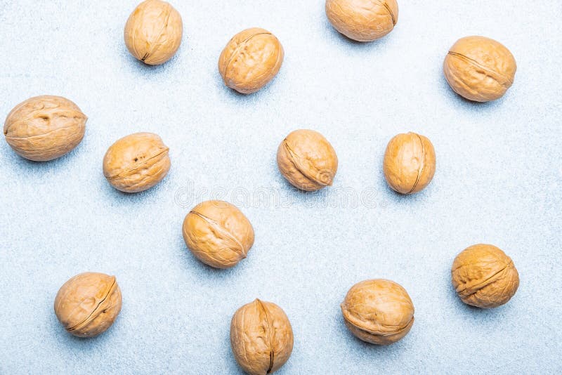 Natural Walnut in Shell on the Light Background stock image