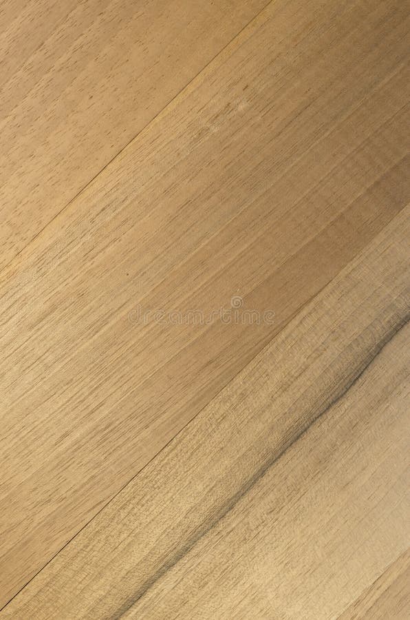 Natural walnut wood veneer royalty free stock photography