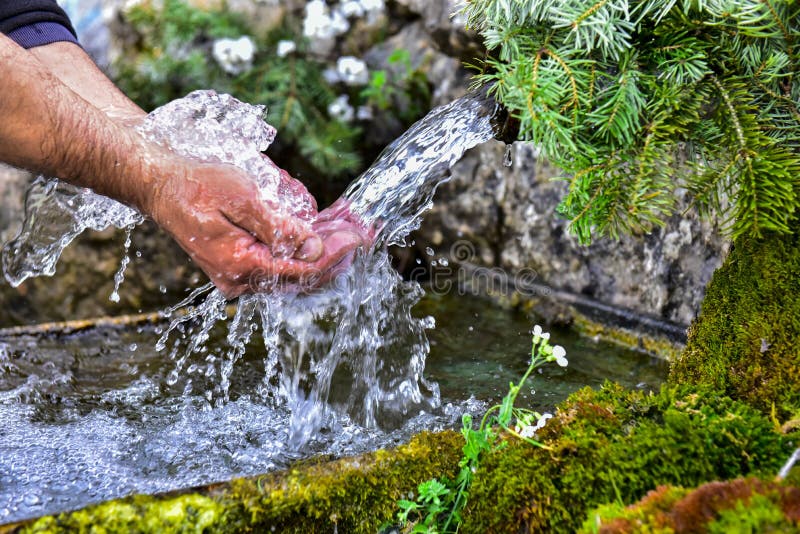 Natural Water From The Main Source Stock Image Image Of Noise Creek