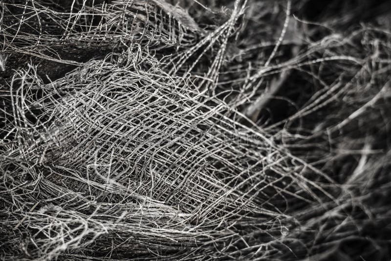 Natural Weave from Palm Tree Trunk Fibres Stock Image Image of palm