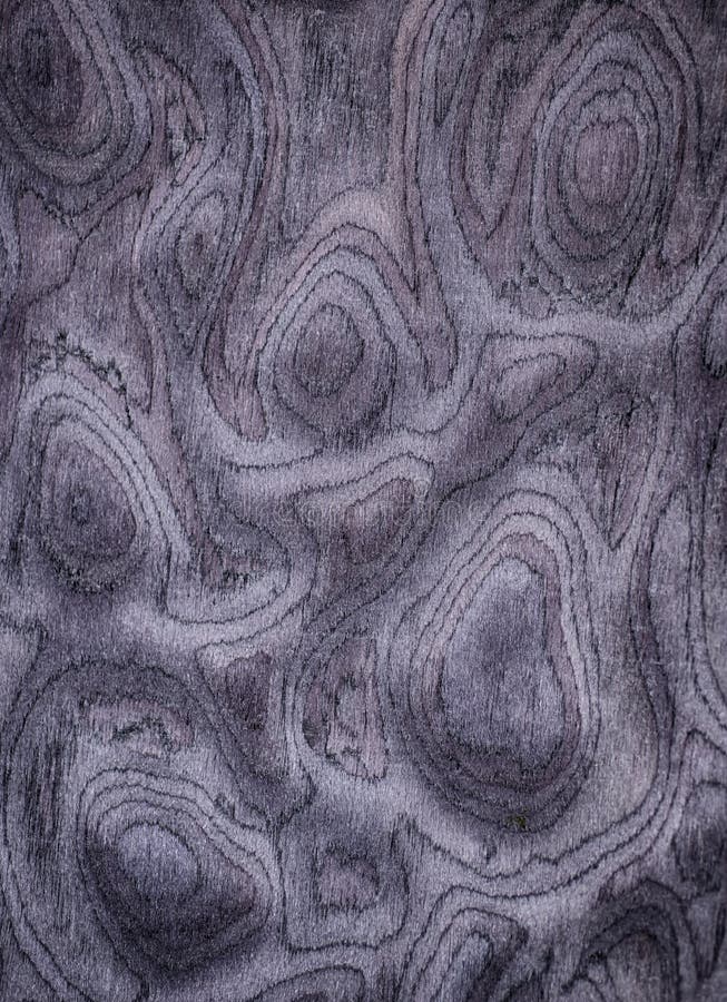 Natural wood texture image, purple gray pattern stock image