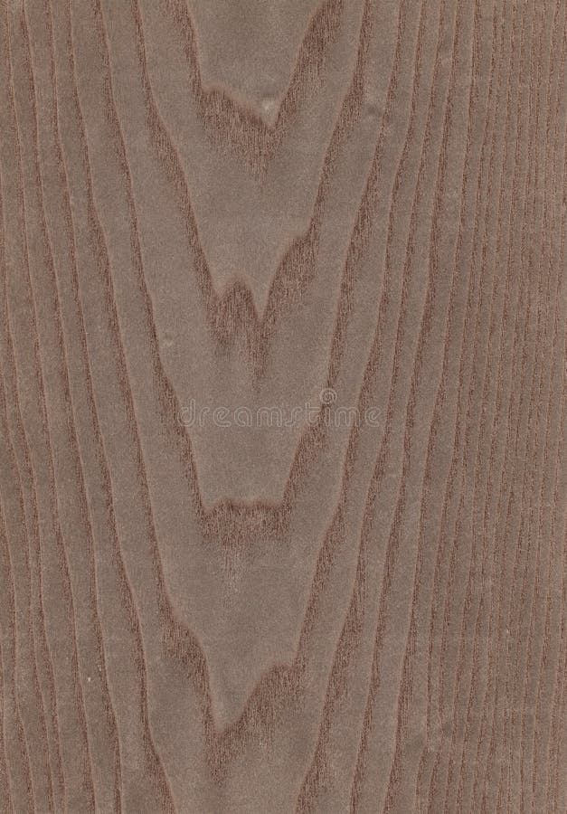 Ash Wood Texture High Resolution Stock Photos Free & RoyaltyFree