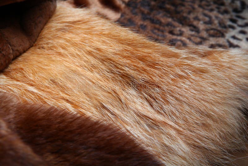 Natural Wool Texture Animals Studio Quality Stock Photo - Image of