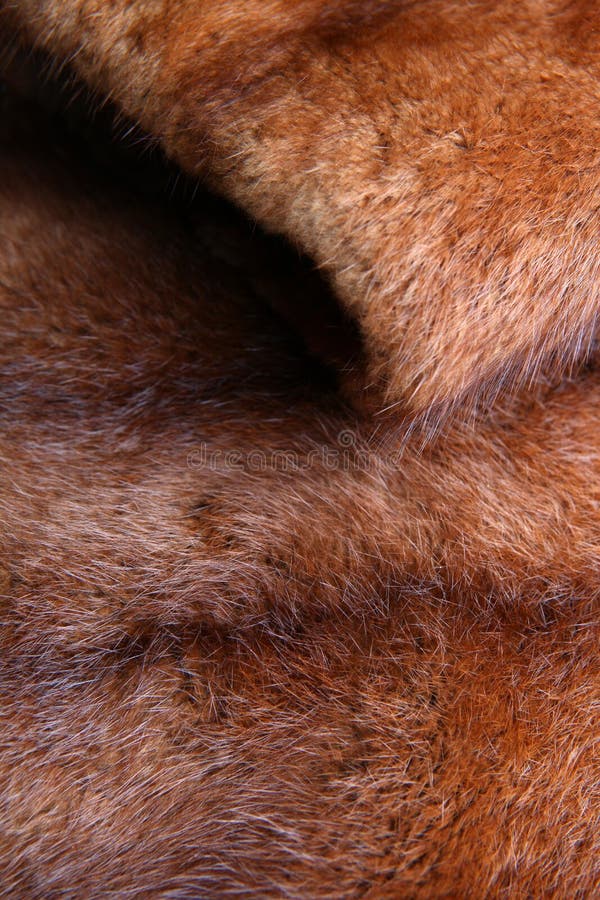 Natural Wool Texture Animals Studio Quality Stock Photo - Image of