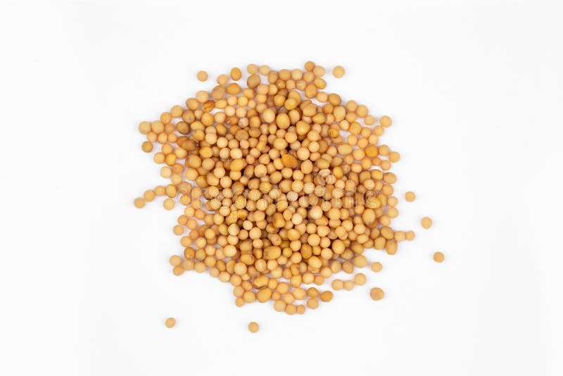Yellow mustard seeds stock photo. Image of ingredient 226554524
