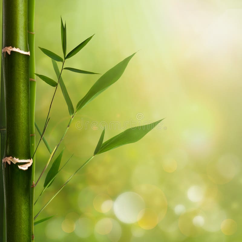 Natural zen backgrounds