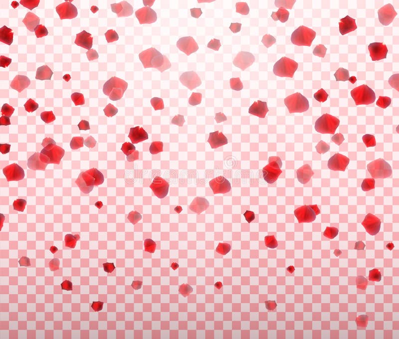 Falling rose petals on a transparent background (777898)