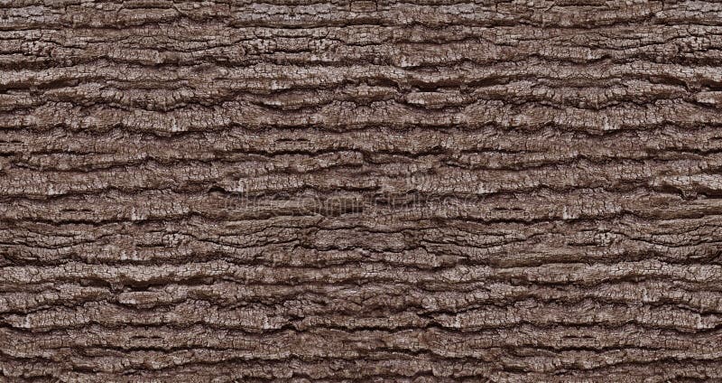 Naturalna drzewnej barkentyny tekstura fotografia stock Naturalna drzewnej barkentyny tekstura fotografia stock