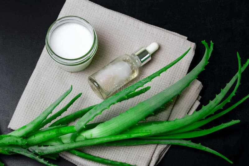 Naturalna nawilżanie śmietanka, kosmetyka nafciany nottle i aloesów liście na czarnym tle, fotografia stock Naturalna nawilżanie śmietanka, kosmetyka nafciany nottle i aloesów liście na czarnym tle, fotografia stock
