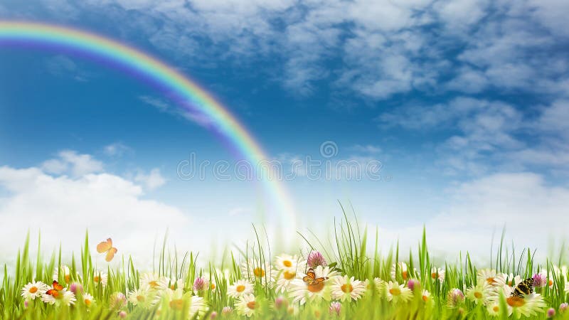 Rainbow on the meadow, abstract natural backgrounds for your design. Rainbow on the meadow, abstract natural backgrounds for your design